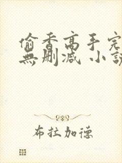 偷香高手完整版无删减 小说封面