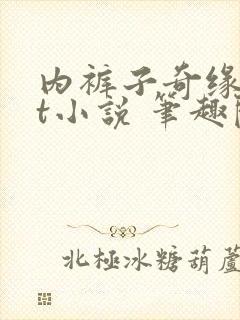 内裤子奇缘txt小说 笔趣阁