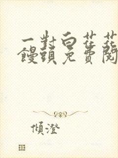 一对白花花的大馒头免费阅读