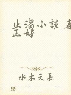 止渴小说 春光正好