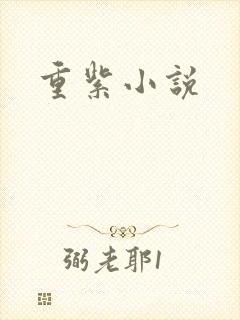 重紫小说