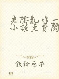 光阴乱作一团的小说免费阅读