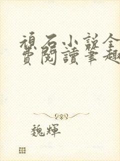 顽石小说全文免费阅读笔趣阁