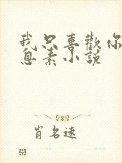 我只喜欢你的信息素小说封面