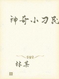 神奇小刁民