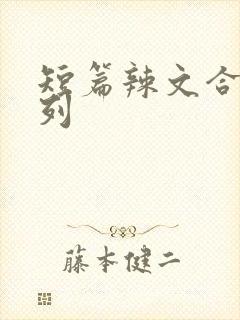 短篇辣文合集系列封面