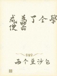 成为了全学校坐便器