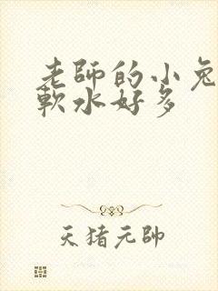 老师的小兔子好软水好多