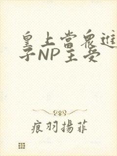 皇上当众进入太子NP主受