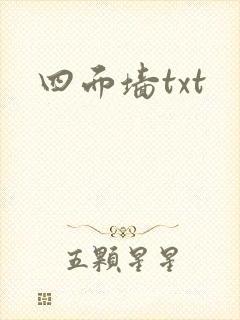 四面墙txt