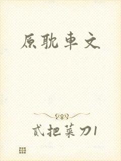 原耽车文