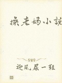 操老妈小说