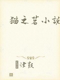 猫之茗小说