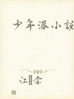 少年派小说
