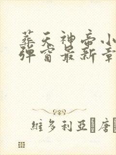 葬天神帝小说无弹窗最新章节封面