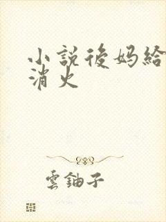 小说后妈给我消消火封面