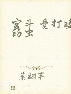 宫斗 爱打瞌睡的虫封面