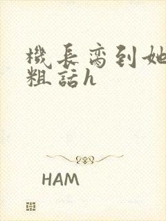 机长脔到她哭h粗话h