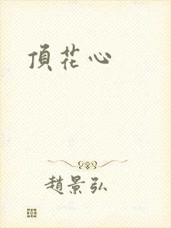 顶花心封面