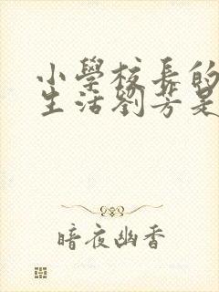 小学校长的幸福生活刘芳是谁封面