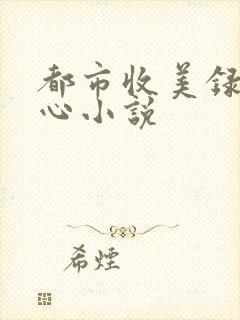 都市收美录宁素心小说