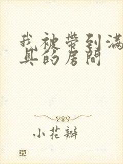 我被带到满是玩具的房间