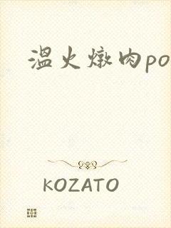 温火炖肉pop封面