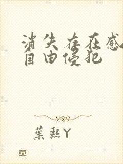 消失存在感消失自由侵犯