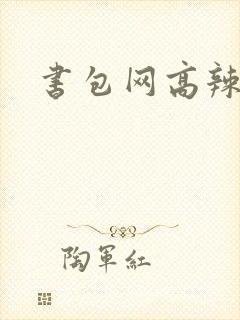 书包网高辣文