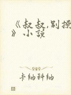 《叔叔,别撩我》小说封面