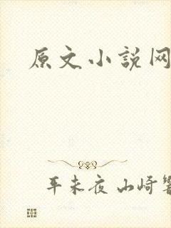 原文小说网