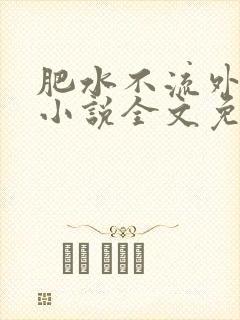 肥水不流外人田小说全文免费阅读1封面