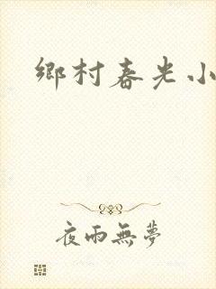 乡村春光小说
