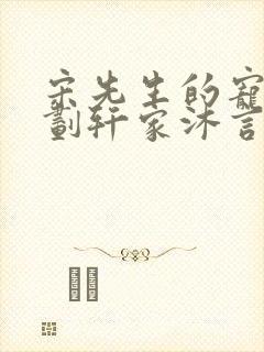 宋先生的宠妻计划轩家沐言封面