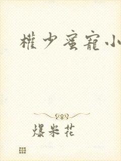 权少蜜宠小娇妻封面