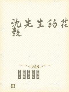 沈先生的花式调教