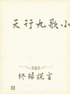 天行九歌小说