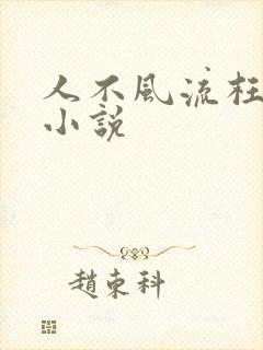 人不风流枉少年小说