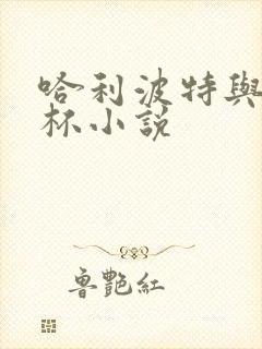 哈利波特与火焰杯小说