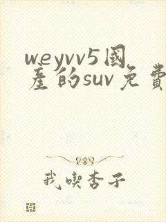 weyvv5国产的suv免费