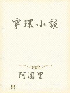 穿环小说