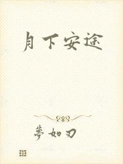 月下安途