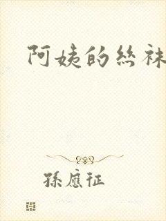 阿姨的丝袜小说