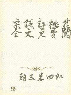 宋钱许桃花小说全文免费阅读