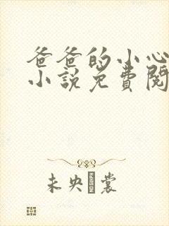 爸爸的小心肝儿小说免费阅读