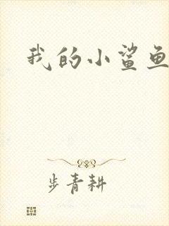 我的小鲨鱼