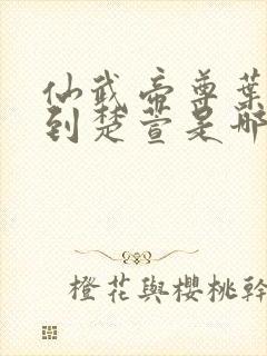 仙武帝尊叶辰找到楚萱是哪一章