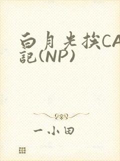 白月光挨CAO记(NP)