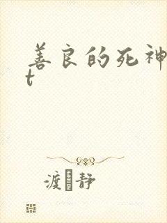 善良的死神txt封面
