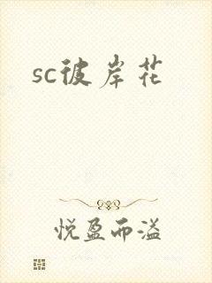 sc彼岸花封面